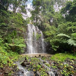 Nimbin Waterfall Retreat Exterior photo