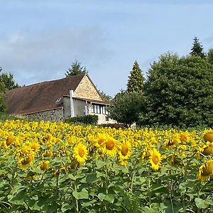 Bonnes Routes - 4 Star Gite In The Perigord Vert La Coquille Exterior photo