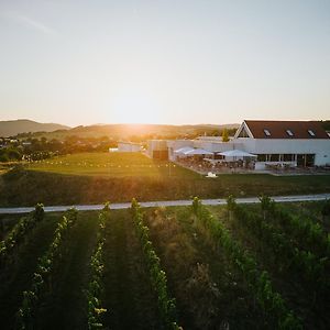 Weinblick & Weingut Grafinger Senftenberg Exterior photo