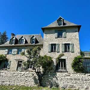 Le Manoir Du Rigouneix Au Coeur De La Nature, Calme-Sauna-Diner Maison Saint-Angel (Correze) Exterior photo