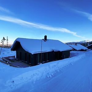 Modern Och Bekvaem Hytte Naera Gaustatoppen, 3 Sovrum 9 Baeddar Gaustablikk Exterior photo