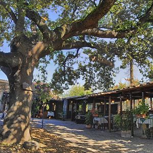 La Vecchia Quercia Selci (Lazio) Exterior photo