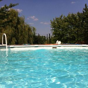 Chalet Familial Avec Piscine, Jardin Et Activites Pres Du Vignoble De Saint-Pourcain - Fr-1-489-151 Louchy-Montfand Exterior photo