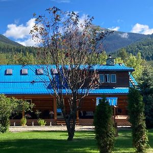 Cougar Mountain Cabin Rentals Valemount Exterior photo