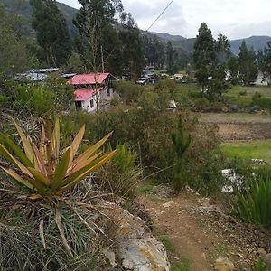 Casa Montanista Lodge & Camping Huaraz (Ancash) Exterior photo