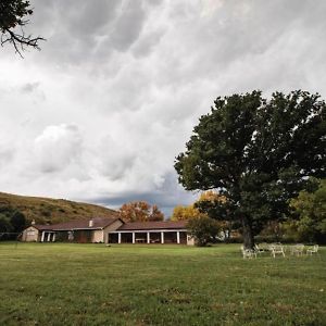 Dekamp Guest Farm And Wedding Venue Tweeling Exterior photo