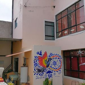 Casa El Colibri Cec Tehuacán Exterior photo