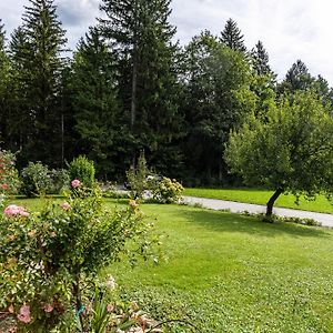 Ferienwohnung Im Haus Stockl Angerberg (Tyrol) Exterior photo