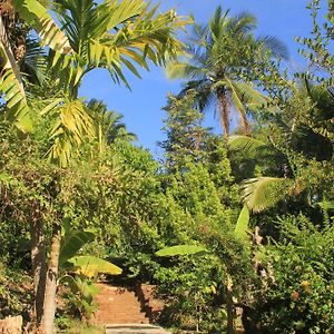 Serenity Sigiri Resort Sigiriya Exterior photo