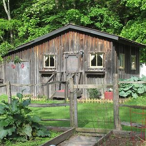 The Renovated Barn At Seneca Rocks Exterior photo