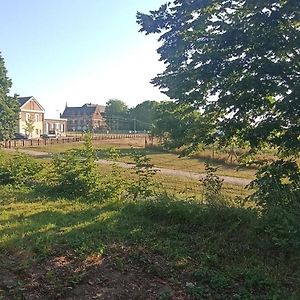 Superbe Studio Cosy Spacieux Au Rez De Chaussee Denain Exterior photo