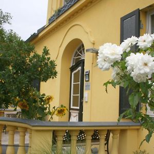 Gutshaus Mit Seeblick - Oekologisch & Nachhaltig Lubow Exterior photo