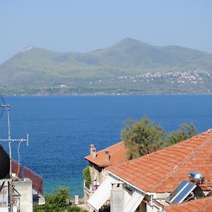 Calypso Beach Hotel Loutra Edipsou (Evia) Exterior photo