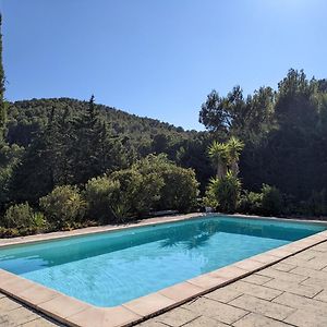 Provencal House Between Sea And Vineyards Le Beausset Exterior photo