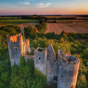 Le Domaine Du Chateau Varennes-les-Narcy Exterior photo