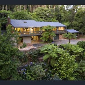 Forest Hideaway - Puffing Billy Railway Melbourne Exterior photo