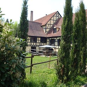 Domaine Du Moulin Im Elsass Bischwiller Room photo