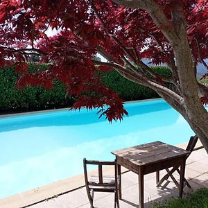 Chambre D'Hote Dans Mas Proche Anduze Cevennes Avec Piscine Mialet (Gard) Exterior photo