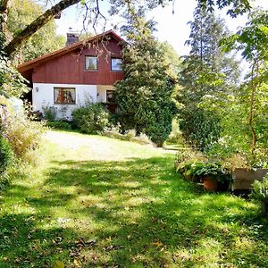 Ferienwohnung Rhoenpanorama Gersfeld Exterior photo