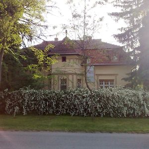 Villa Ricz Palić Exterior photo
