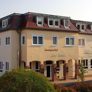 Hotel Linde Pfalz Silz (Rhineland-Palatinate) Exterior photo