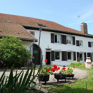 Chambre D'Hotes Kieffer Le Grand Bienfaisy Remiremont Exterior photo