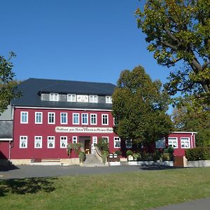 Zum Roten Hirsch Im Gruenen Wald Saalfeld Saale Exterior photo