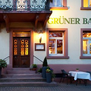 Hotel & Restaurant Gruener Baum Merzhausen Friburgo em Brisgóvia Exterior photo