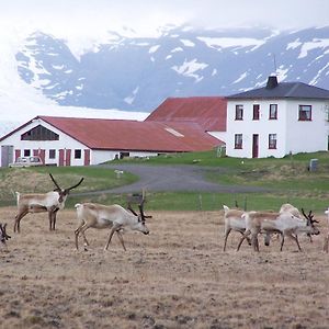 Guesthouse Holmur Hólmur Exterior photo