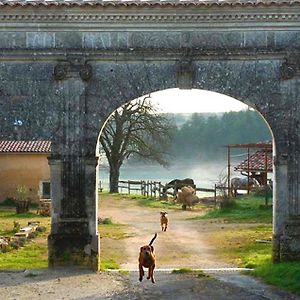 Domaine De Chantemerle B'Nb Marsac (Charente) Exterior photo