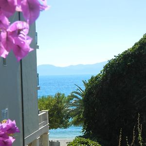 Apartments Marino Drvenik (Split-Dalmatia) Exterior photo