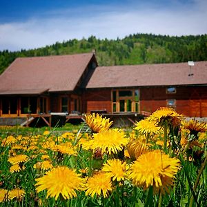 Crossline Lodge Gheorgheni (Harghita) Exterior photo