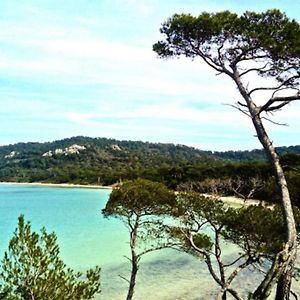 Ile De Porquerolles : T3 Climatise Vue Mer Exterior photo