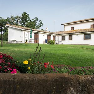 Agriturismo Il Poggio Vetralla Exterior photo