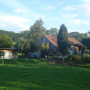 Bnb Pavillon Paisible Orsonnens Exterior photo