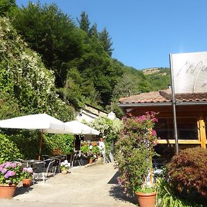 Hotel Restaurante Marroncín Cangas De Narcea Exterior photo