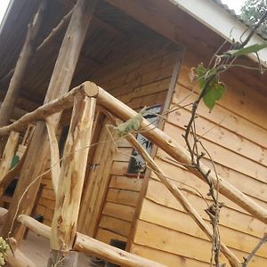 Eagle Peak Homestay Kabale Exterior photo