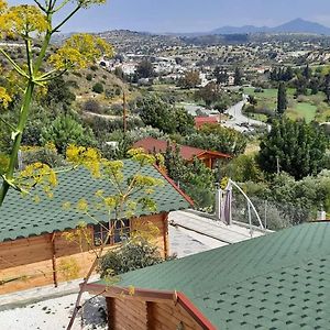 Happy Glamping Cy Agios Theodoros Exterior photo