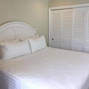 Dolphin Cove (Adults Only) Freeport Room photo
