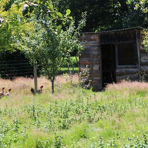 Ecogite Rural La Cle Des Champs Peyrelongue-Abos Room photo