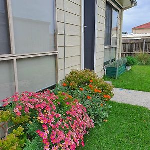 Beach Garden Getaway Cheltenham Exterior photo