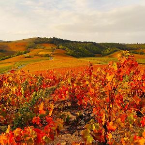 Le Panoramic Chiroubles Beaujolais Exterior photo