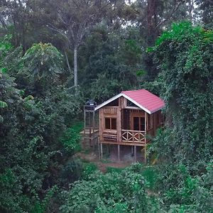 Supreme Adventure Park Bunyonyi Kabale Room photo