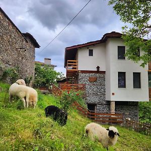 Guest House Elena Kosovo Exterior photo