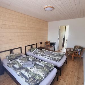 Elch Zimmer Wilderness Life Arvidsjaur Exterior photo