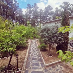 Bonita Casa En El Bosque - El Tiemblo Exterior photo