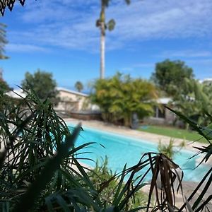 La Vanilleraie Apt 45M2 Piscine Jardin Tropical Parking Prive Saint-Leu Exterior photo