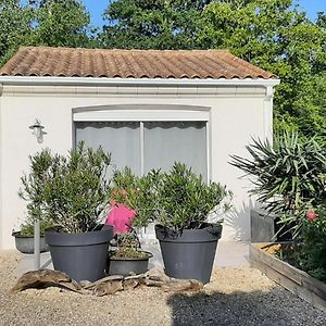 Studio Maisonnette Vaux-sur-Mer Exterior photo