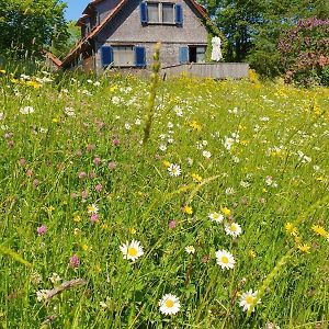 Rhoener Landhaus Mit Viel Flair Gersfeld Exterior photo