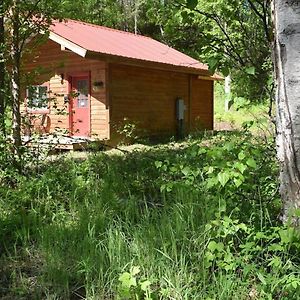 Birch Cabin Talkeetna Exterior photo